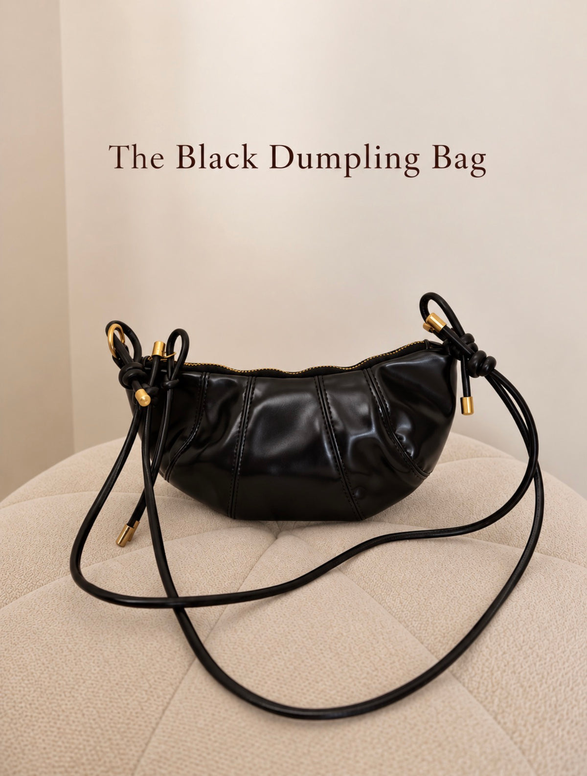 The Black Dumpling Bag